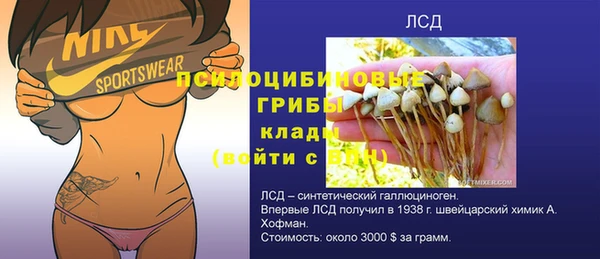 mdma Богданович