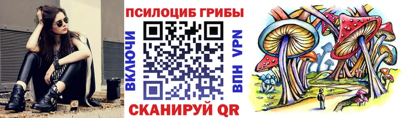 Галлюциногенные грибы Psilocybe  Купить закладки  Вязники 